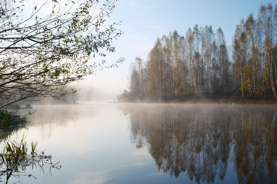 Туман и озеро, кадр 4